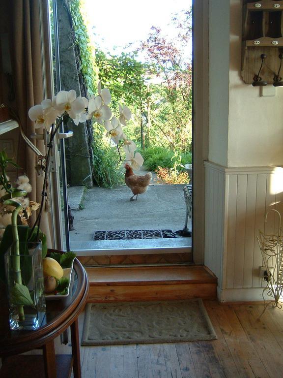 Villa Le Lac Cottage Au Bord Du Lac D'Annecy - Chambre Chez L'Habitant - Les Terrasses Du Lac Veyrier-du-Lac Exterior foto